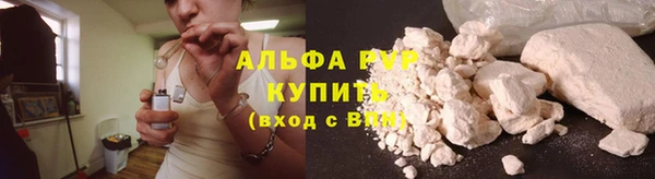 дмт Богданович