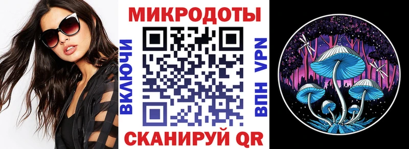 где купить наркотик  Киржач  Псилоцибиновые грибы Psilocybe 